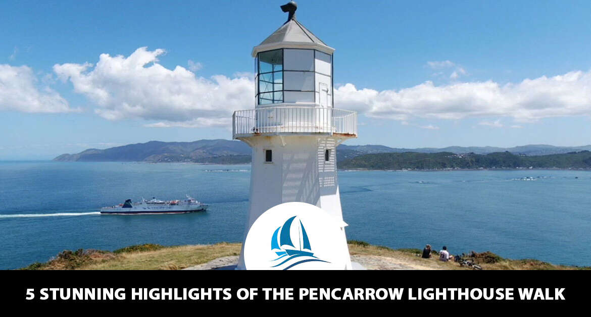 5 Stunning Highlights of the Pencarrow Lighthouse Walk