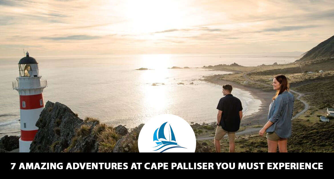 7 Amazing Adventures at Cape Palliser You Must Experience