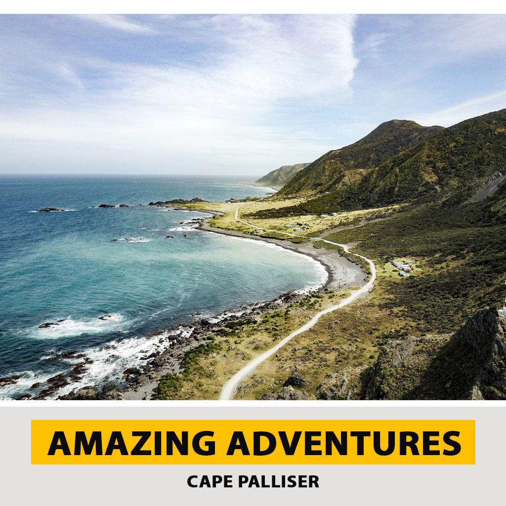 Things to Do in Cape Palliser