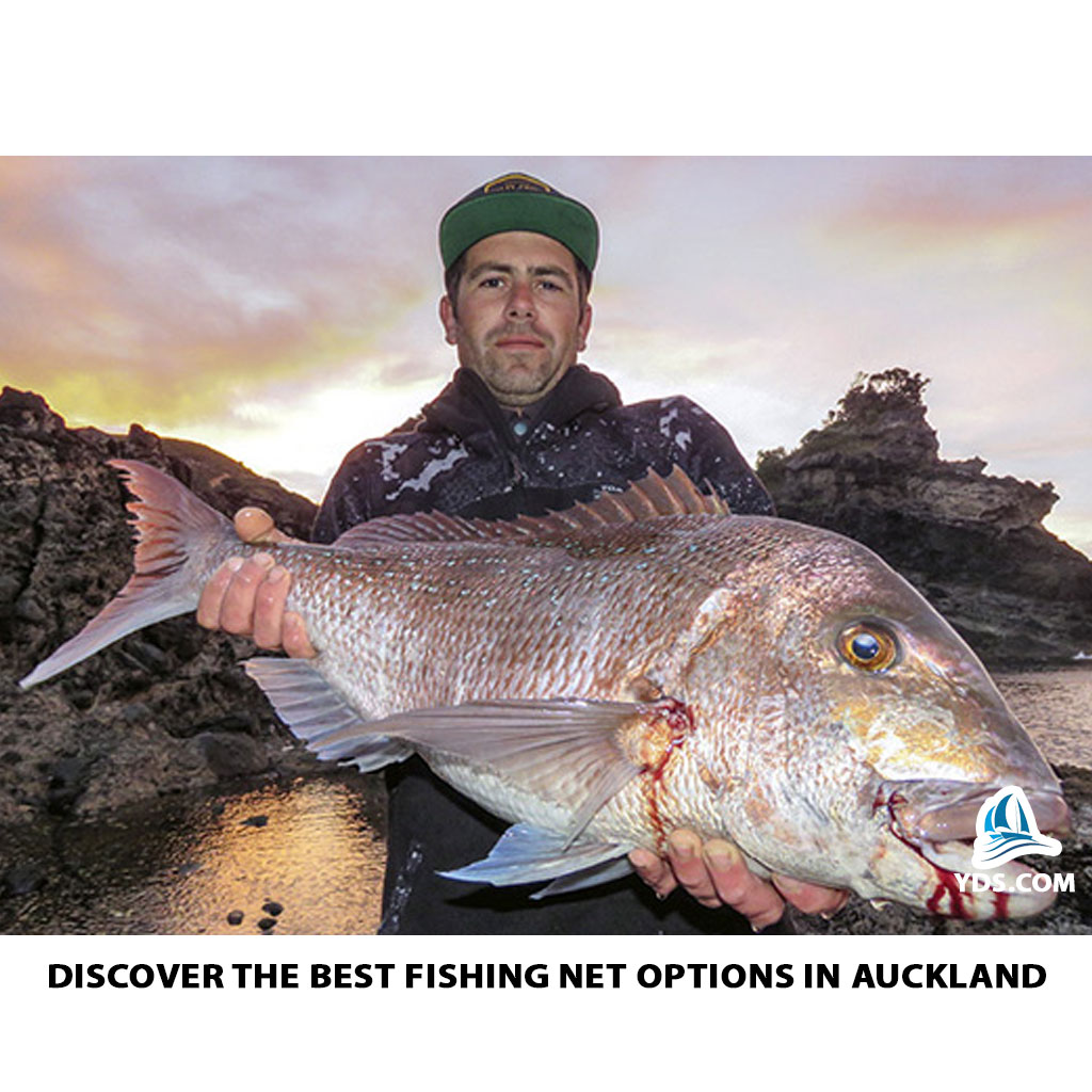 Discover the Best Fishing Net Options in Auckland