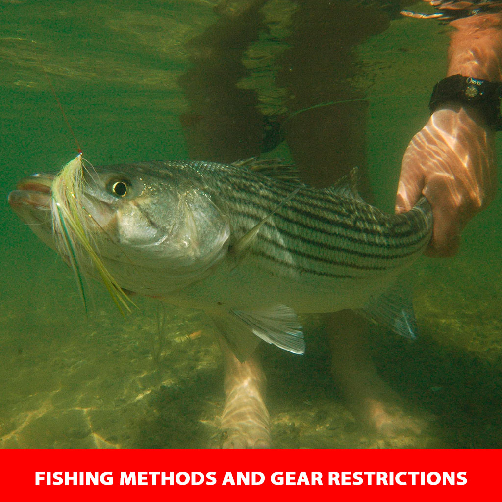 Fishing Methods and Gear Restrictions