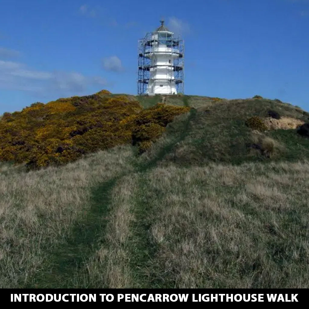 Introduction to Pencarrow Lighthouse Walk