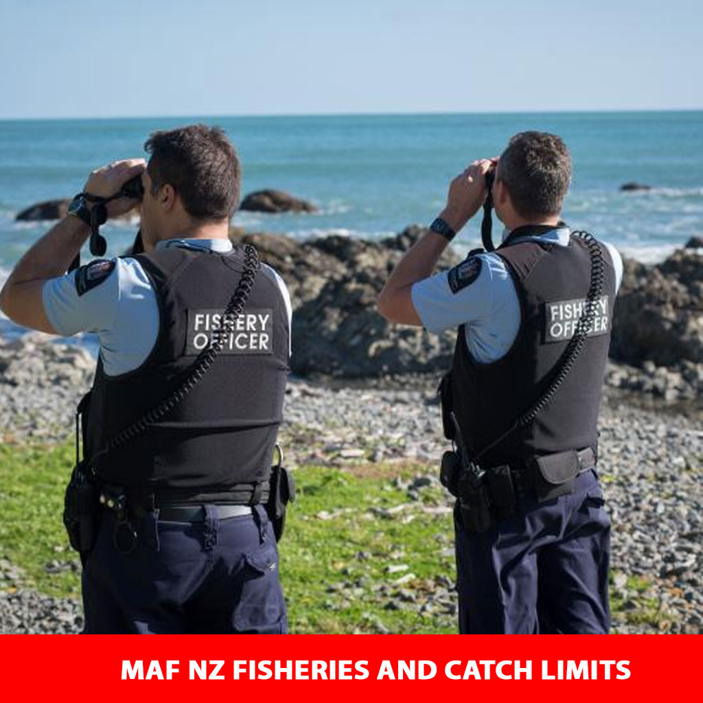MAF NZ Fisheries and Catch Limits