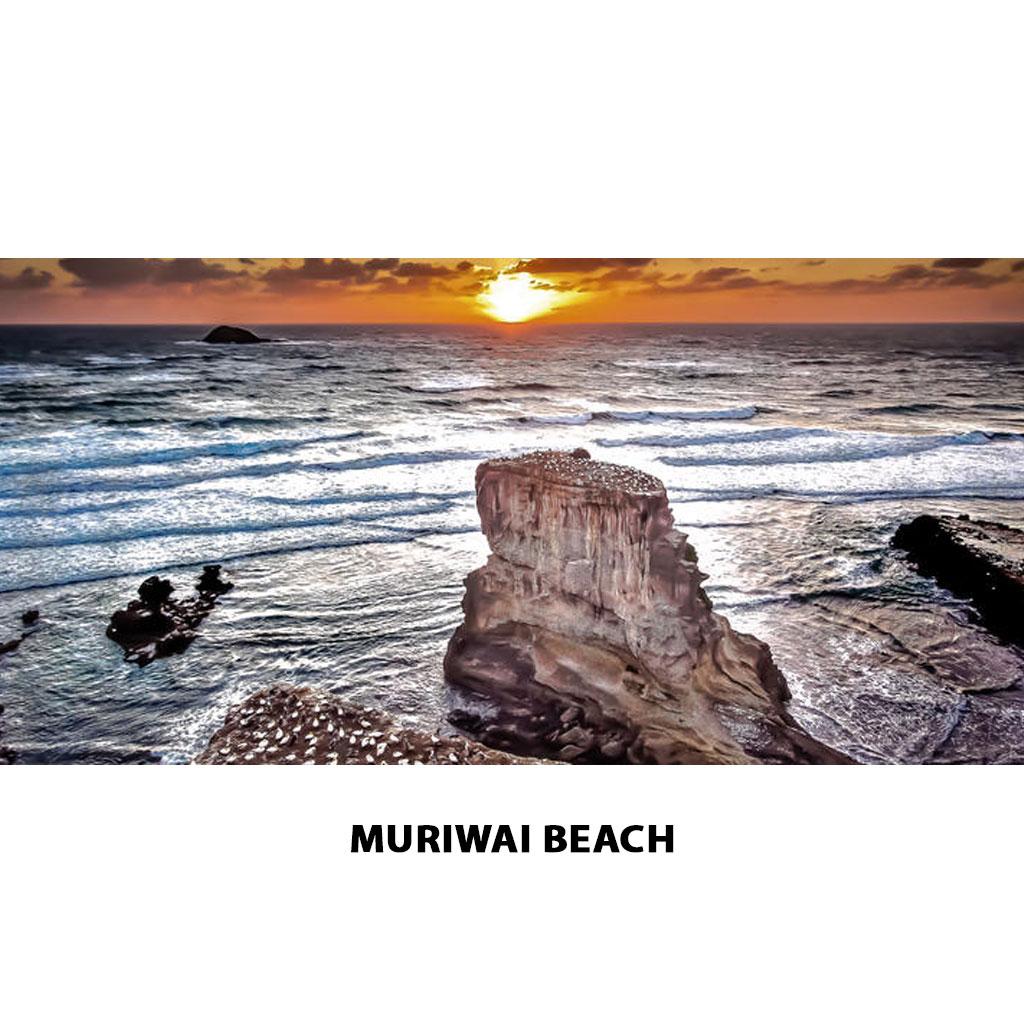 Muriwai Beach