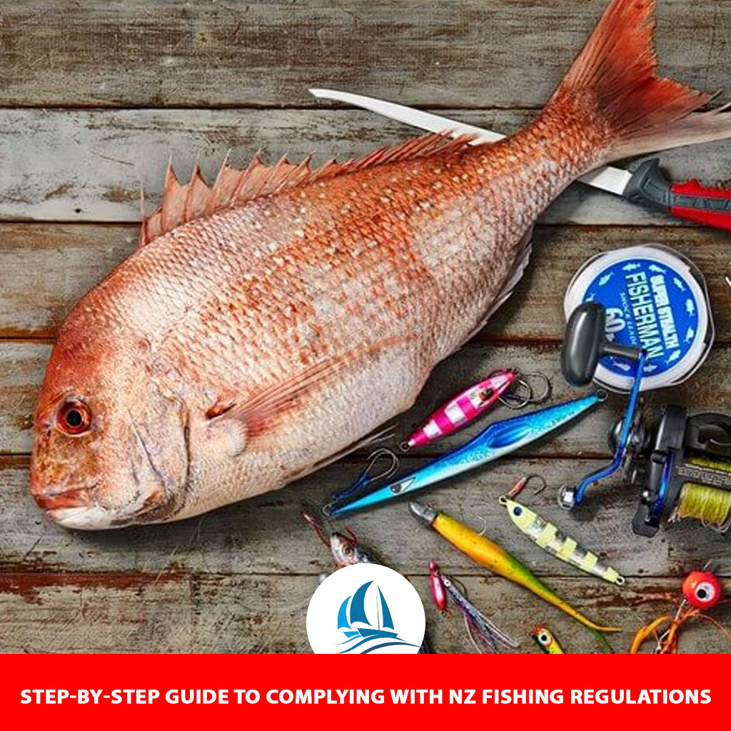 Step-by-Step Guide to Complying with NZ Fishing Regulations
