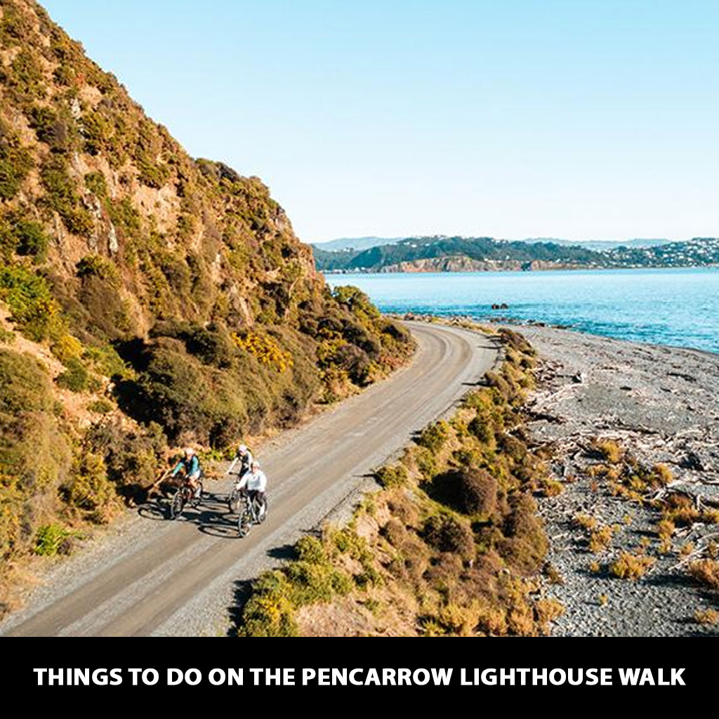 Old Pencarrow Head Lighthouse Track,Wellington, New Zealand - 121 Reviews, Map | yachtdeliverysolutions