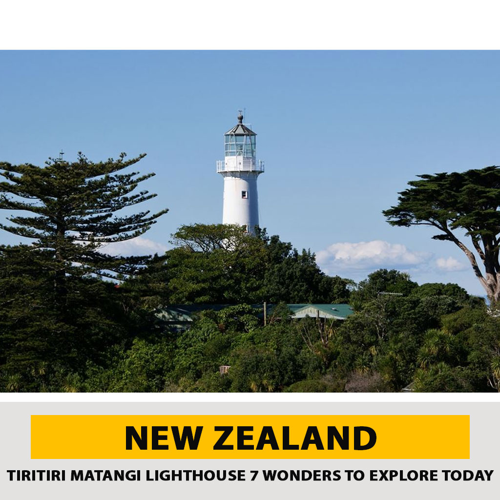 The Natural Beauty of Tiritiri Matangi Island