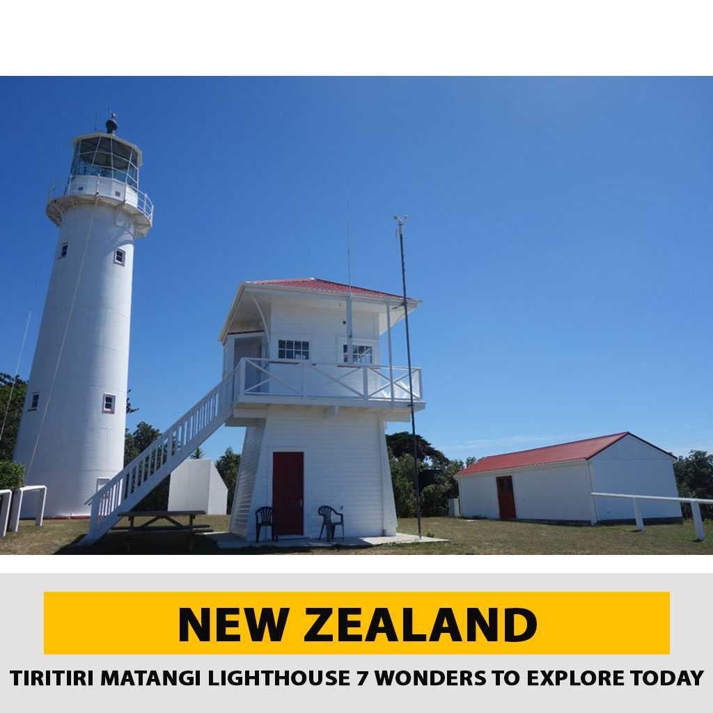 Real-Life Anecdotes: Stories from Tiritiri Matangi Lighthouse