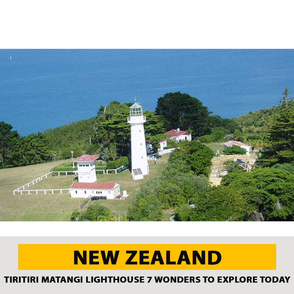 Exploring Tiritiri Matangi Island
