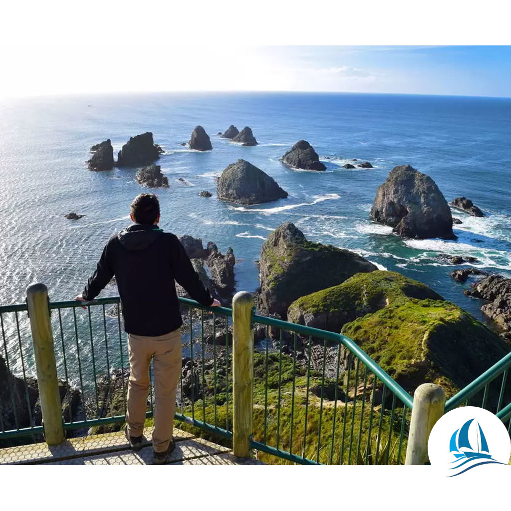 Top Attractions at Nugget Point