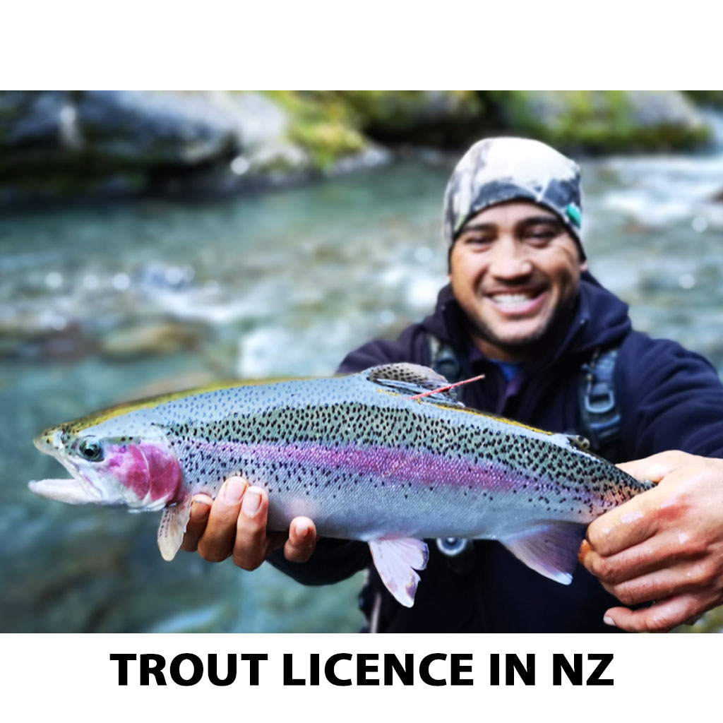 Trout Licence in NZ