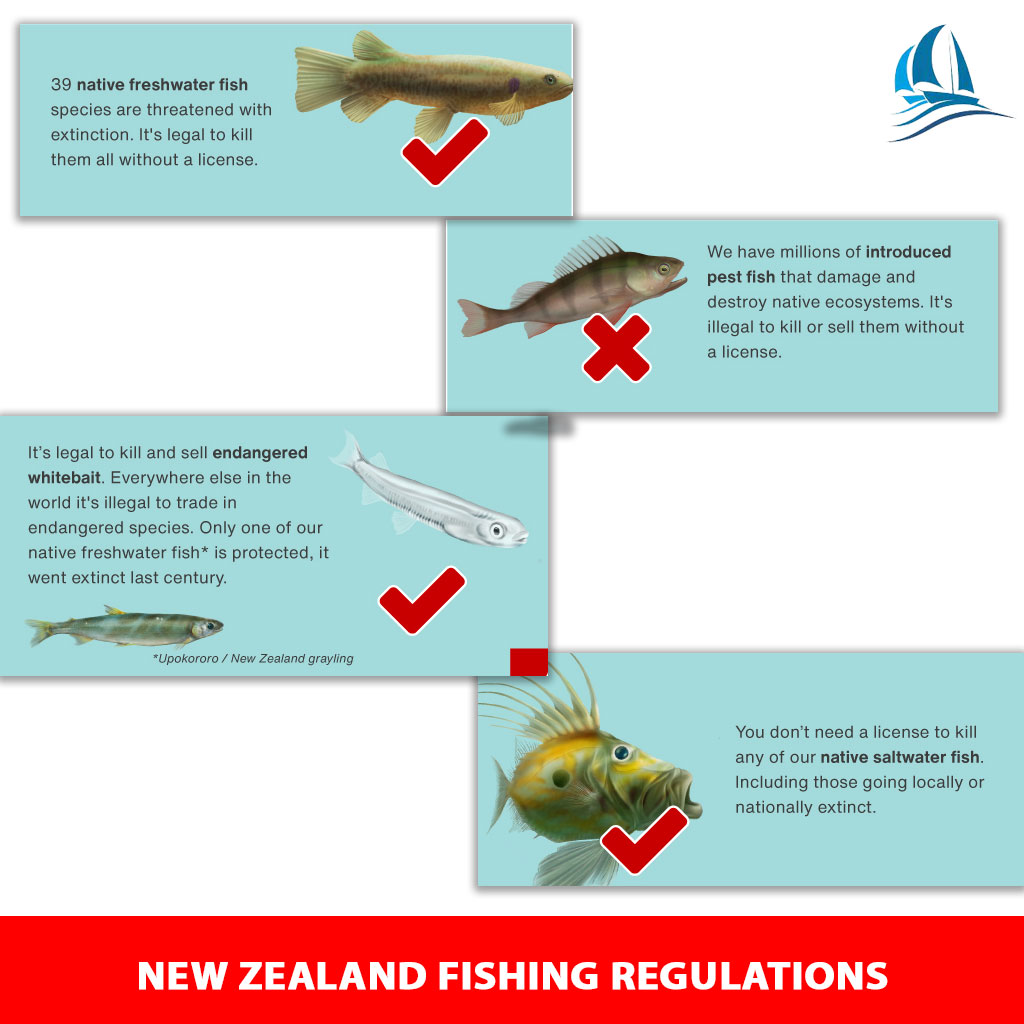 Types of Fishing Licences in New Zealand