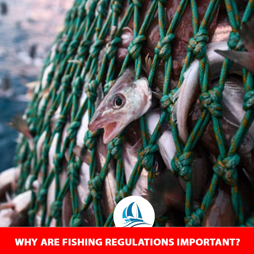 Why Are Fishing Regulations Important?