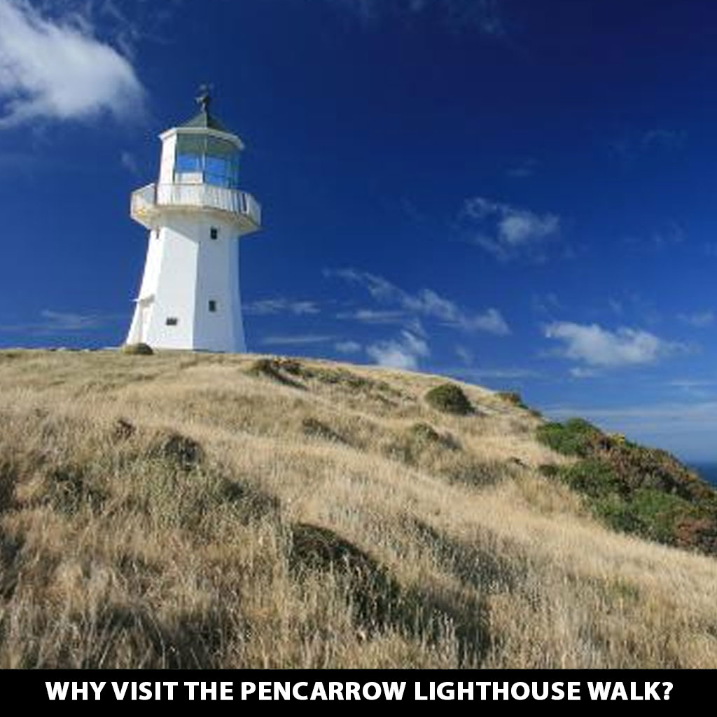 Why Visit the Pencarrow Lighthouse Walk